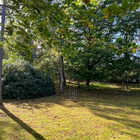 Beautiful In With 4 Bedrooms, Sauna And Wifi Holiday home *